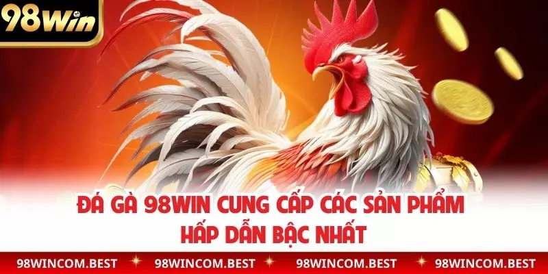 Đá gà 98WIN cung cấp các sản phẩm hấp dẫn bậc nhất