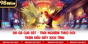 Đá Gà Cựa Sắt - Trải Nghiệm Theo Dõi Trận Đấu Đầy Kịch Tính
