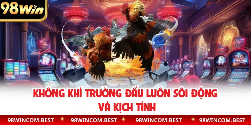 Không khí trường đấu luôn sôi động và kịch tính