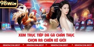 Trực tiếp đá gà
